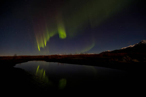 Sam Amato Photography Art Print featuring the photograph Alaska Aurora Borealis by Sam Amato