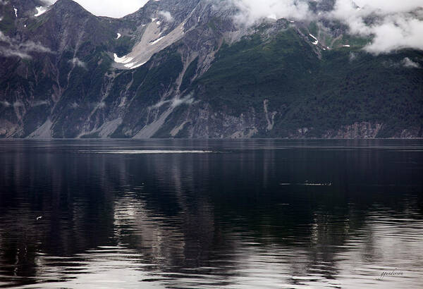 Ocean Art Print featuring the photograph Alaskan Mountain Scene Whales by Gary Gunderson