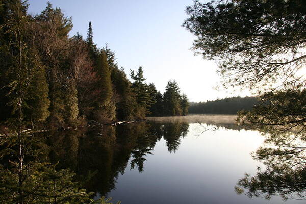 Water Art Print featuring the photograph Algonquin View by Dr Carolyn Reinhart