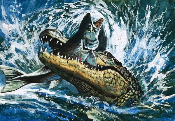 Alligator Eating Fish Art Print by English School - Fine Art America