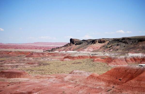 Badlands Art Print featuring the photograph Amazing American Landscape by Judy Hall-Folde