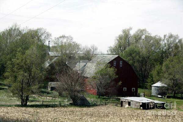 Farmland Art Print featuring the photograph An old Barn with surrounding spring green. by Yumi Johnson
