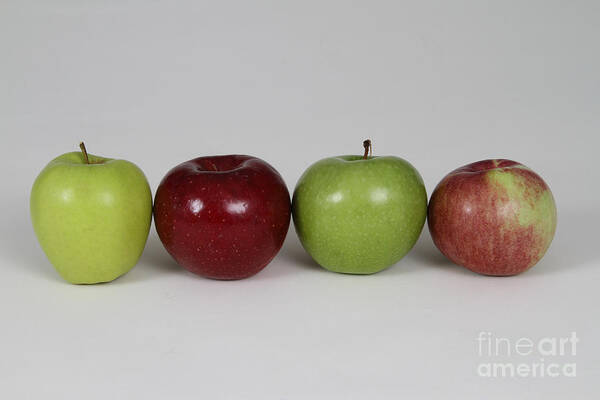 Agriculture Art Print featuring the photograph Apples by Photo Researchers, Inc.