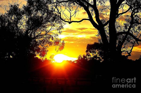 Australia Art Print featuring the photograph Aussie Sunset by Blair Stuart