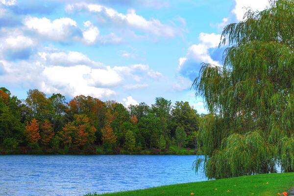  Art Print featuring the photograph Autumn at Hoyt Lake by Michael Frank Jr