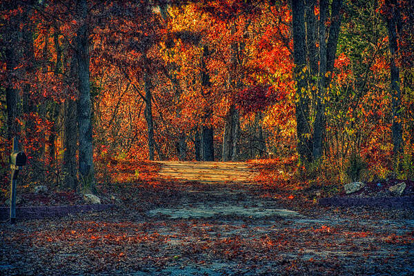 Missouri Art Print featuring the photograph Autumn Has Arrived by Bill and Linda Tiepelman