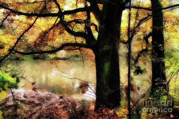 Autumn Art Print featuring the photograph Autumn Oak Tree by Dariusz Gudowicz