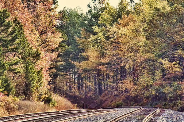 Autumn Art Print featuring the photograph Autumn Railroad by Douglas Barnard