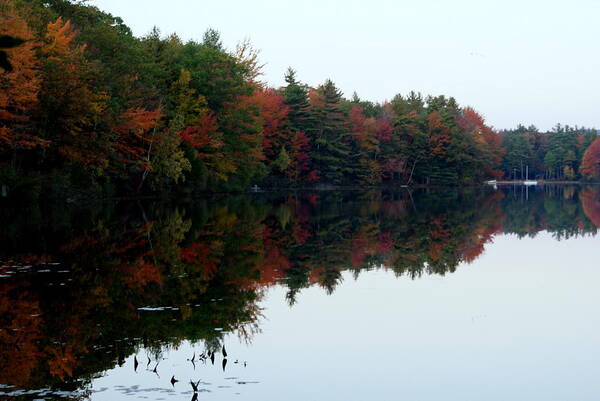 Autumn Art Print featuring the photograph Autumn Reflections by Lois Lepisto