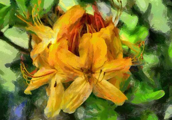 Blossom Art Print featuring the digital art Azaleas in bloom by Fran Woods