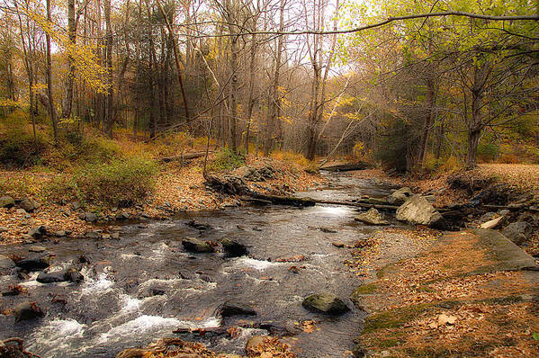 Stream Art Print featuring the photograph Babbling Brook in Autumn by Cathy Kovarik