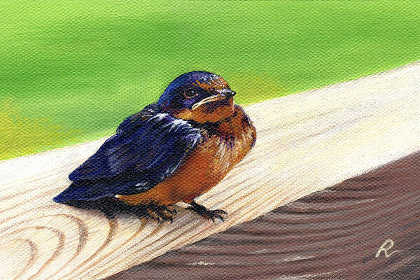 Bird Art Print featuring the painting Baby Barn Swallow by Peggy Dreher