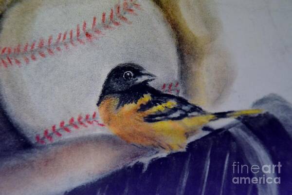 Oriole Art Print featuring the drawing Baltimore Orioles by AE Hansen