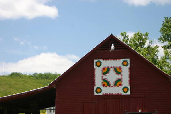 Barn Art Print featuring the photograph Barn Quilt - 2 by Leann DeBord