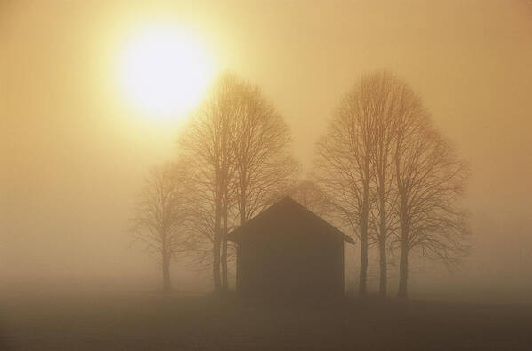 Mp Art Print featuring the photograph Barn, Trees And Sun Shining by Konrad Wothe