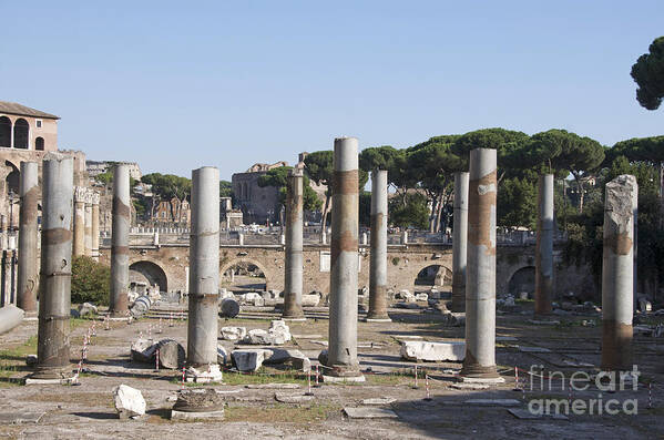 Worth Art Print featuring the photograph Base of Trajan's Column and the Basilica Ulpia. Rome by Bernard Jaubert