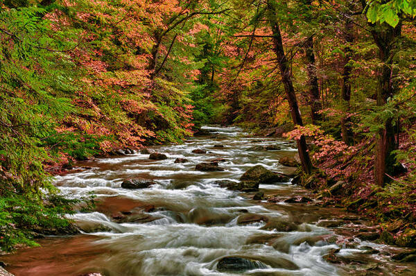 Landscape Art Print featuring the photograph Bash Bish Falls River by Fred LeBlanc