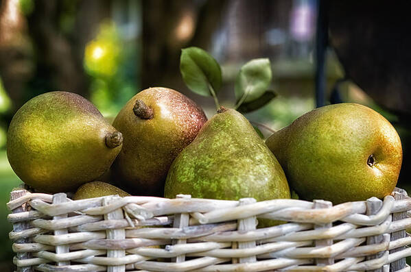 K-30 Art Print featuring the photograph Basket of Pears by Lori Coleman