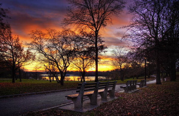 Sunset Art Print featuring the photograph Bench with a view by Yelena Rozov