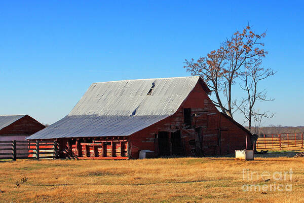 Barns Art Print featuring the photograph Big Red Coat by Joy Tudor