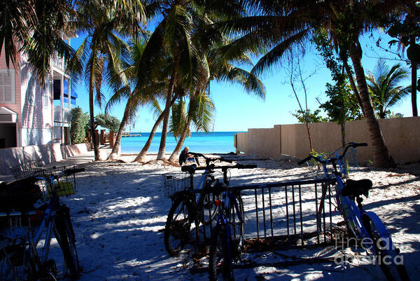Bike Art Print featuring the photograph Bikes at Dogs Beach in Key West by Susanne Van Hulst