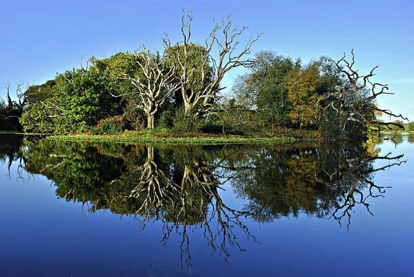 Lake Art Print featuring the photograph Blue Lake Reflections by Joe Ormonde