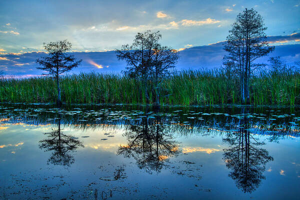 Clouds Art Print featuring the photograph Blue Sunset by Debra and Dave Vanderlaan