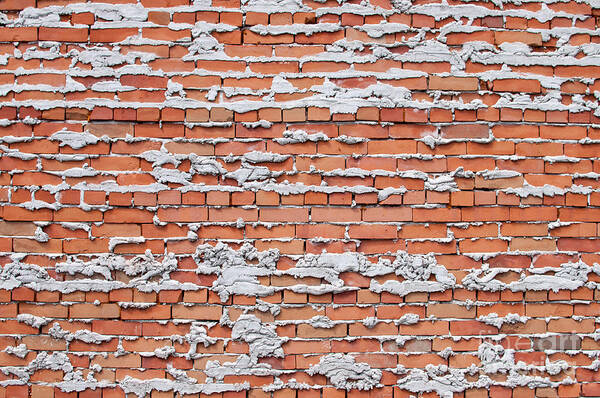 Brick Art Print featuring the photograph Brick wall with mortar by Les Palenik