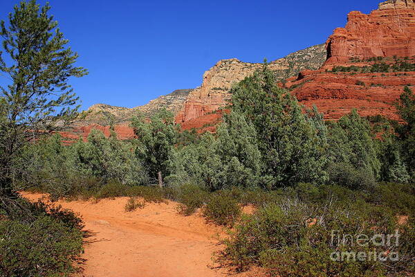 Sedona Art Print featuring the photograph Brins Path by Julie Lueders 