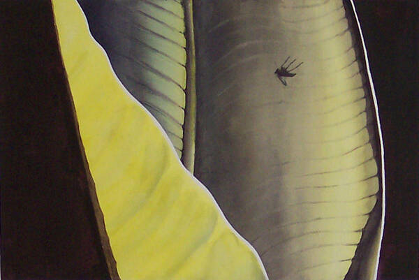 Bug Art Print featuring the painting Bug on a banana leaf by Philip Fleischer