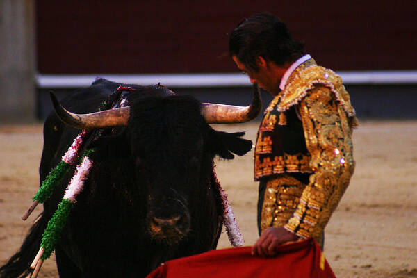 Bullfight Art Print featuring the photograph Bullfight Madrid by Benjamin Dahl