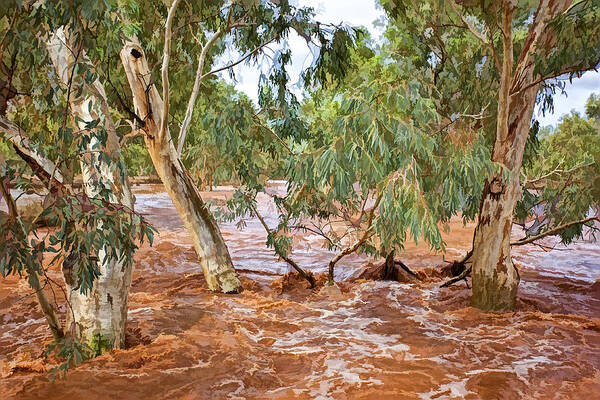 Australia Art Print featuring the photograph Bush Flood by Paul Svensen