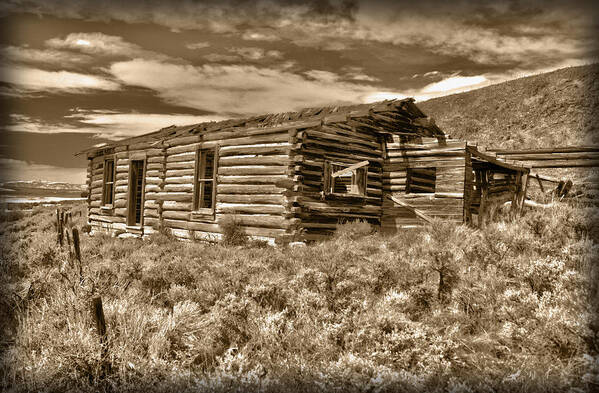 House Art Print featuring the photograph Cabin Fever by Shane Bechler