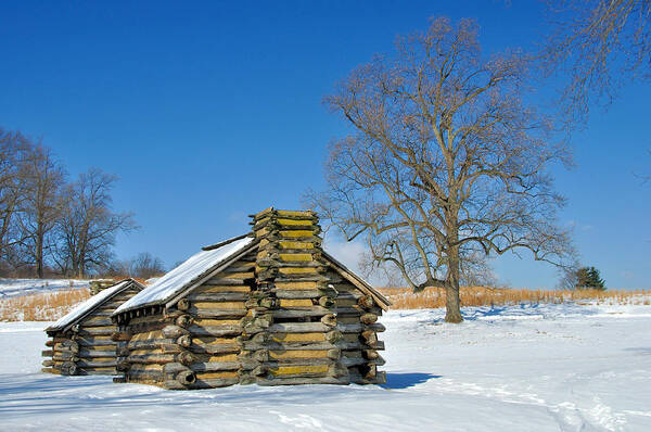 Valley Forge Art Print featuring the photograph Cabin by Gaetano Chieffo