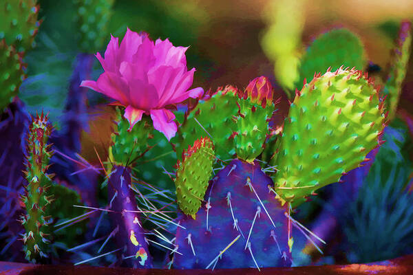 Cactus Art Print featuring the photograph Cactus Flowers in Pink by Brian Davis