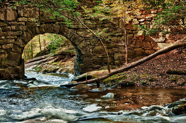 Landscape Art Print featuring the photograph Campbell Falls Bridge by Fred LeBlanc