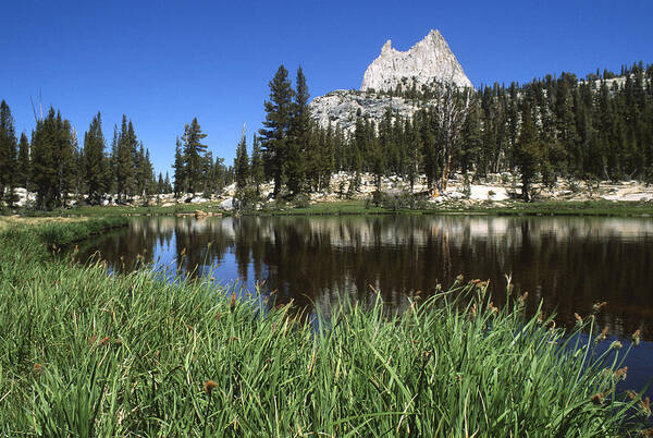 Alpine Pond Rushes Climbing Peak Yosemite Art Print featuring the photograph Cathedral Peak by John Farley