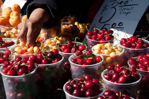 Farmers Market Art Print featuring the photograph Cherry Picking by Dina Calvarese