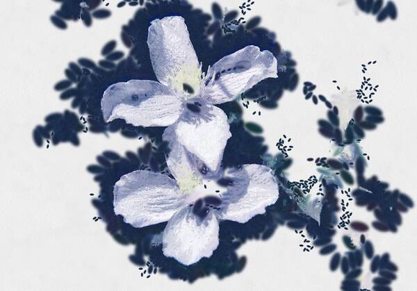 Stark Art Print featuring the digital art Clematis in blue by Fran Woods