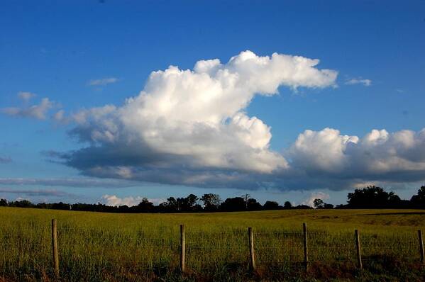 Cloud Art Print featuring the photograph Cloud by Beverly Hammond