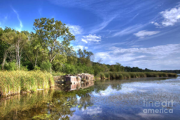 Swamp Art Print featuring the photograph Clouds in the water by Dejan Jovanovic