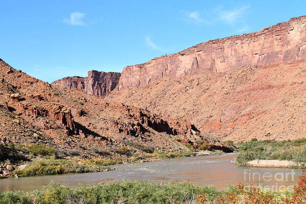 Colorado River Art Print featuring the photograph Colorado River by Pamela Walrath