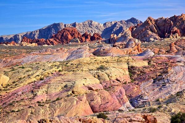 Landscape Art Print featuring the photograph Colors of the Valley of Fire by Joseph Urbaszewski