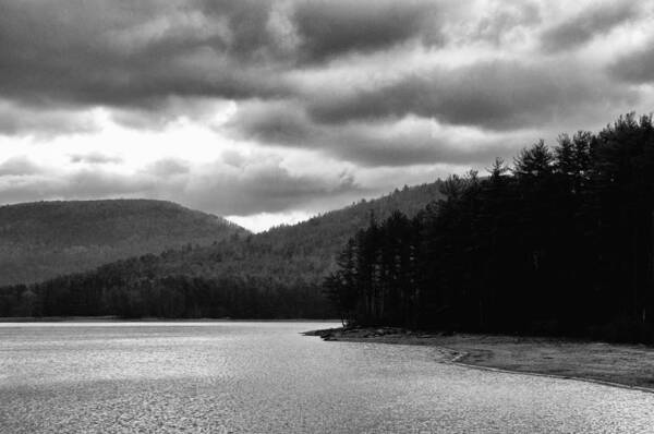 Cooper Lake Art Print featuring the photograph Cooper Lake Monochrome by Nancy De Flon