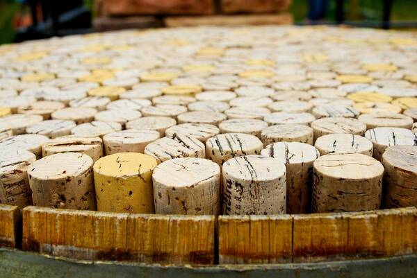 Corks Art Print featuring the photograph Corks by Calvin Wray