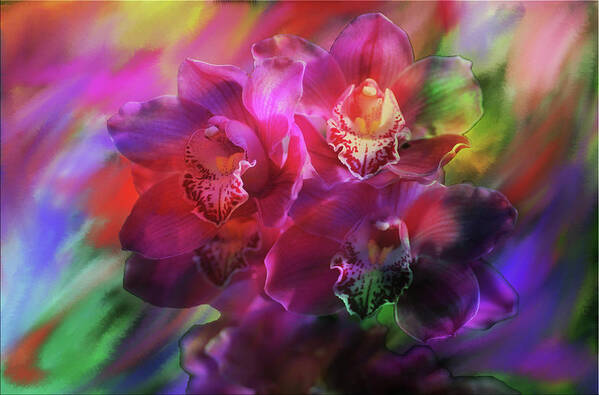 Coronation Orchids Digital Creation Art Print featuring the painting Coronation Orchids by Don Wright