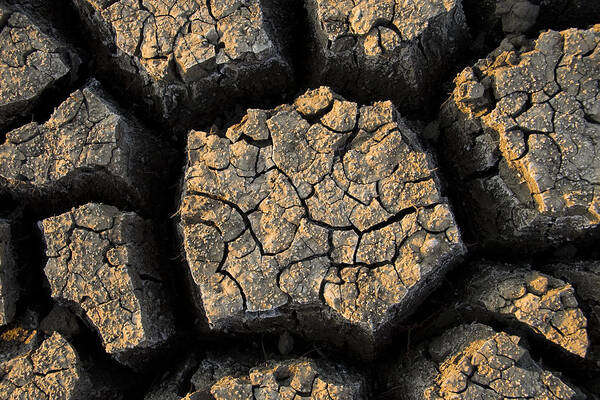 Fn Art Print featuring the photograph Cracked, Dried Out Mud, Mokolodi Nature by Vincent Grafhorst