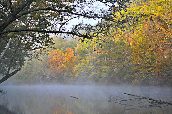 Fall Colors Art Print featuring the photograph Current River Fall 44r by Marty Koch