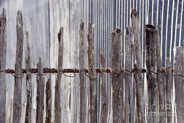 Fence Art Print featuring the photograph De-Fence by Ken Williams