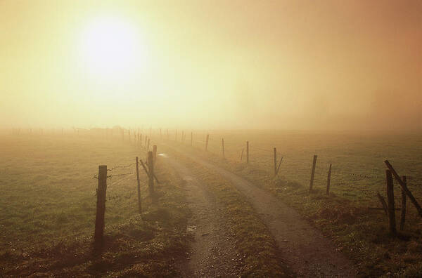 00198032 Art Print featuring the photograph Dirt Road, Fence And Sun Shining by Konrad Wothe